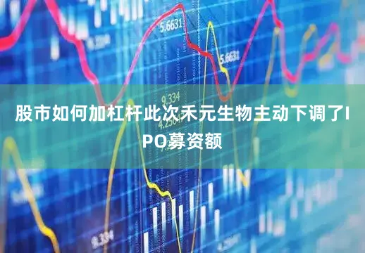 股市如何加杠杆此次禾元生物主动下调了IPO募资额