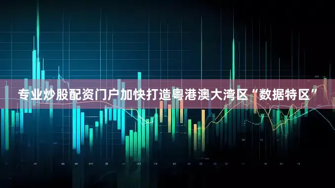 专业炒股配资门户加快打造粤港澳大湾区“数据特区”