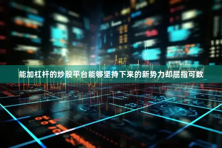 能加杠杆的炒股平台能够坚持下来的新势力却屈指可数
