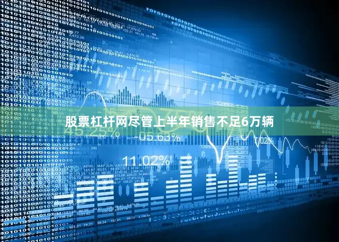 股票杠杆网尽管上半年销售不足6万辆